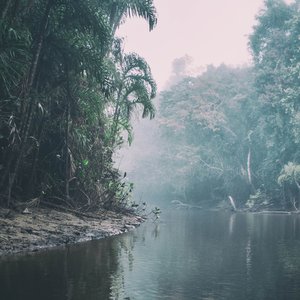 Amazonie 2 - Emeline Rétif